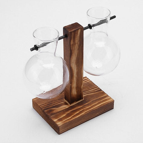 Hydroponic Vase Globe