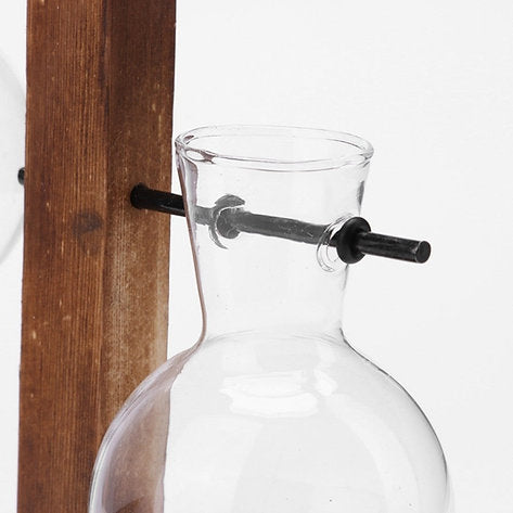 Hydroponic Vase Globe