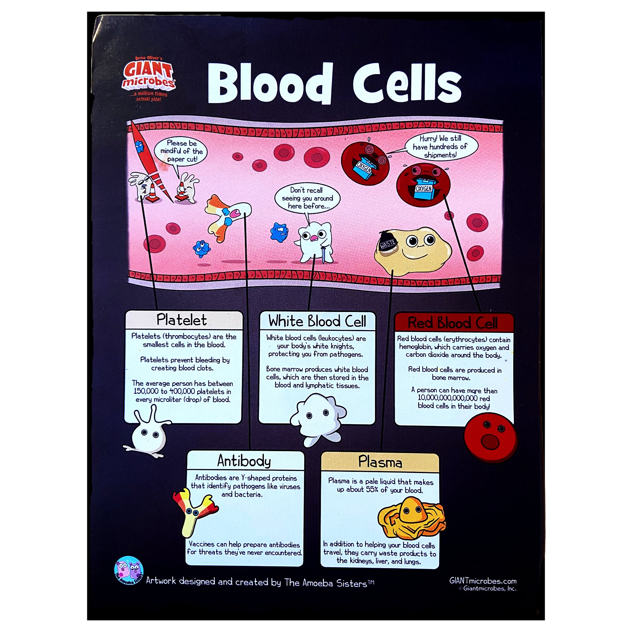 Blood Cells Box