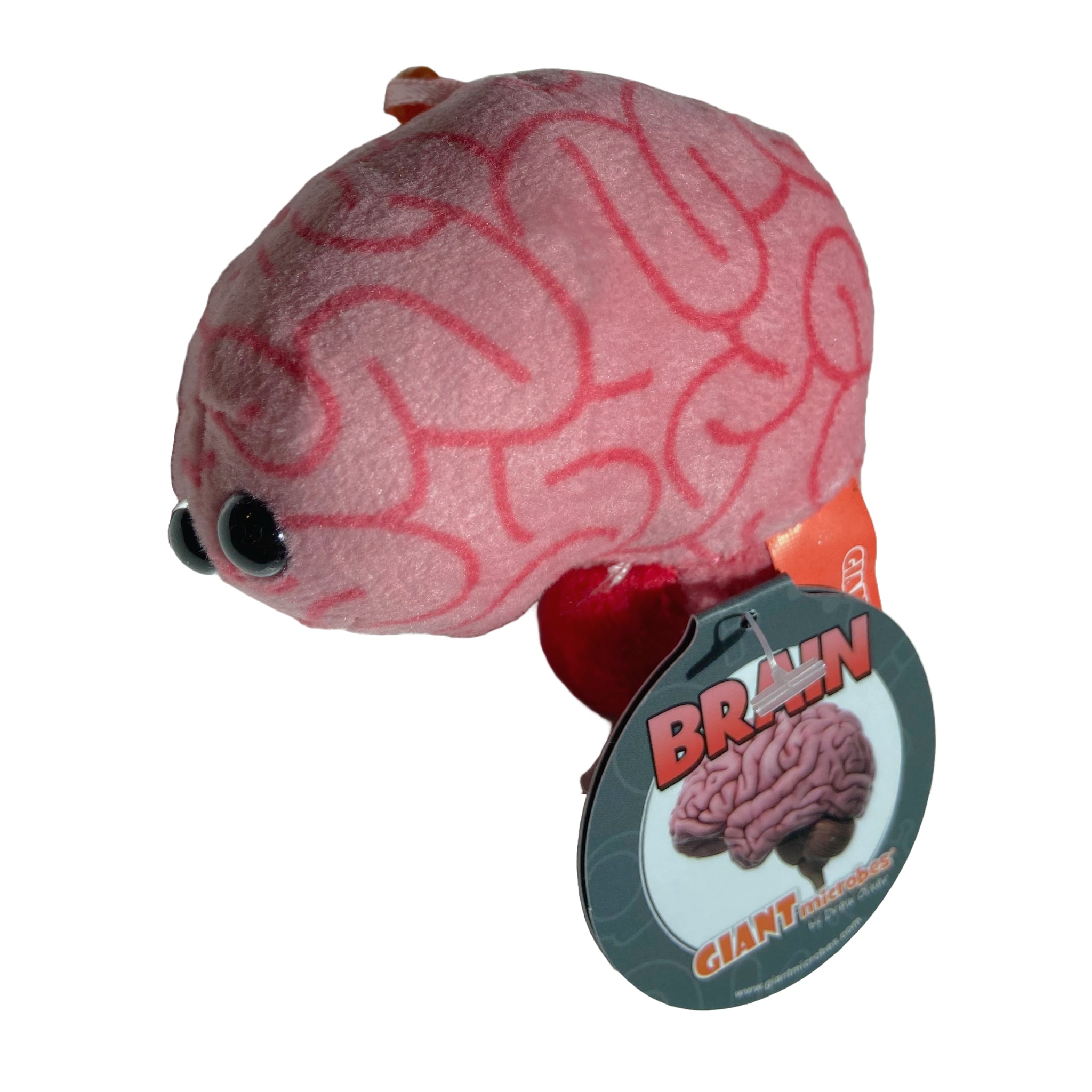 Brain Organ Keychain