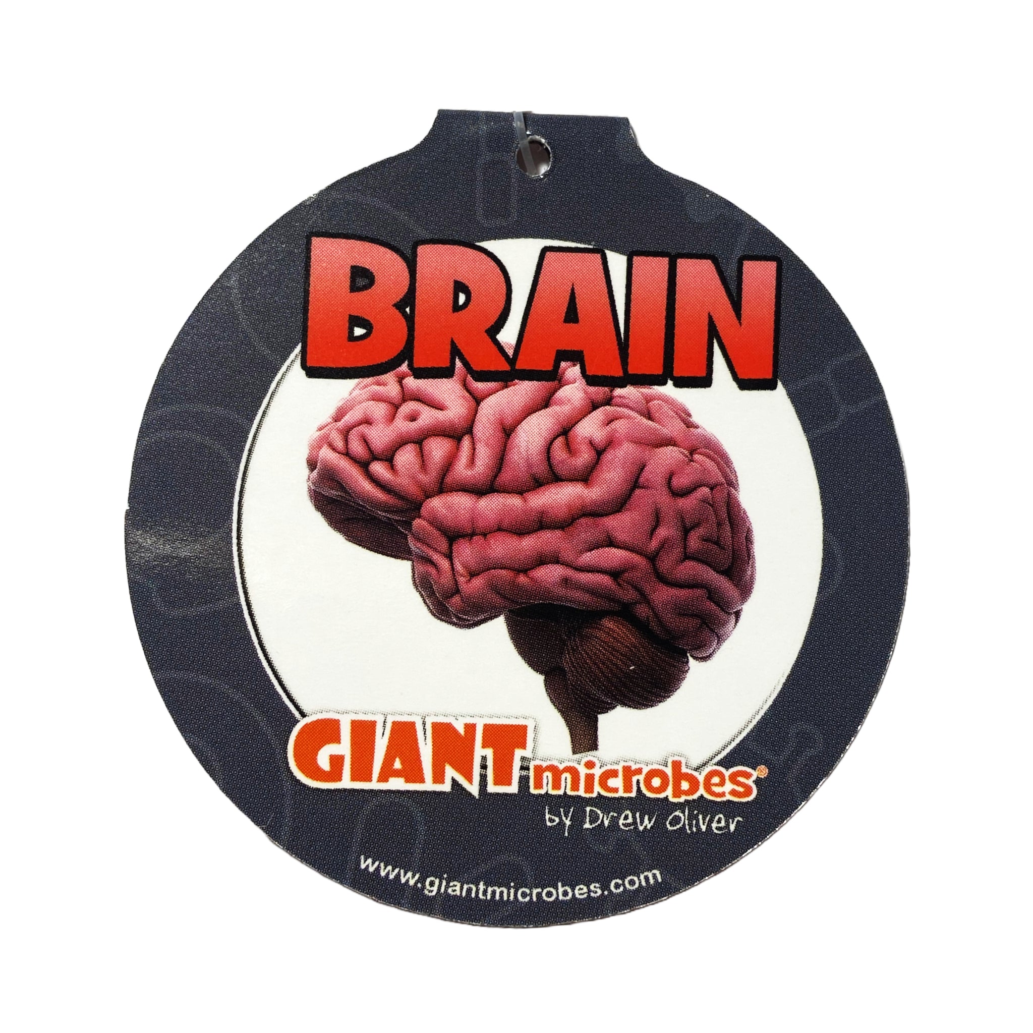 Brain Organ Keychain