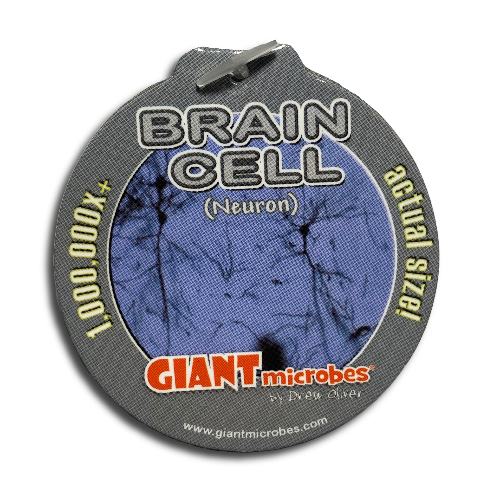 Brain Cell Keychain