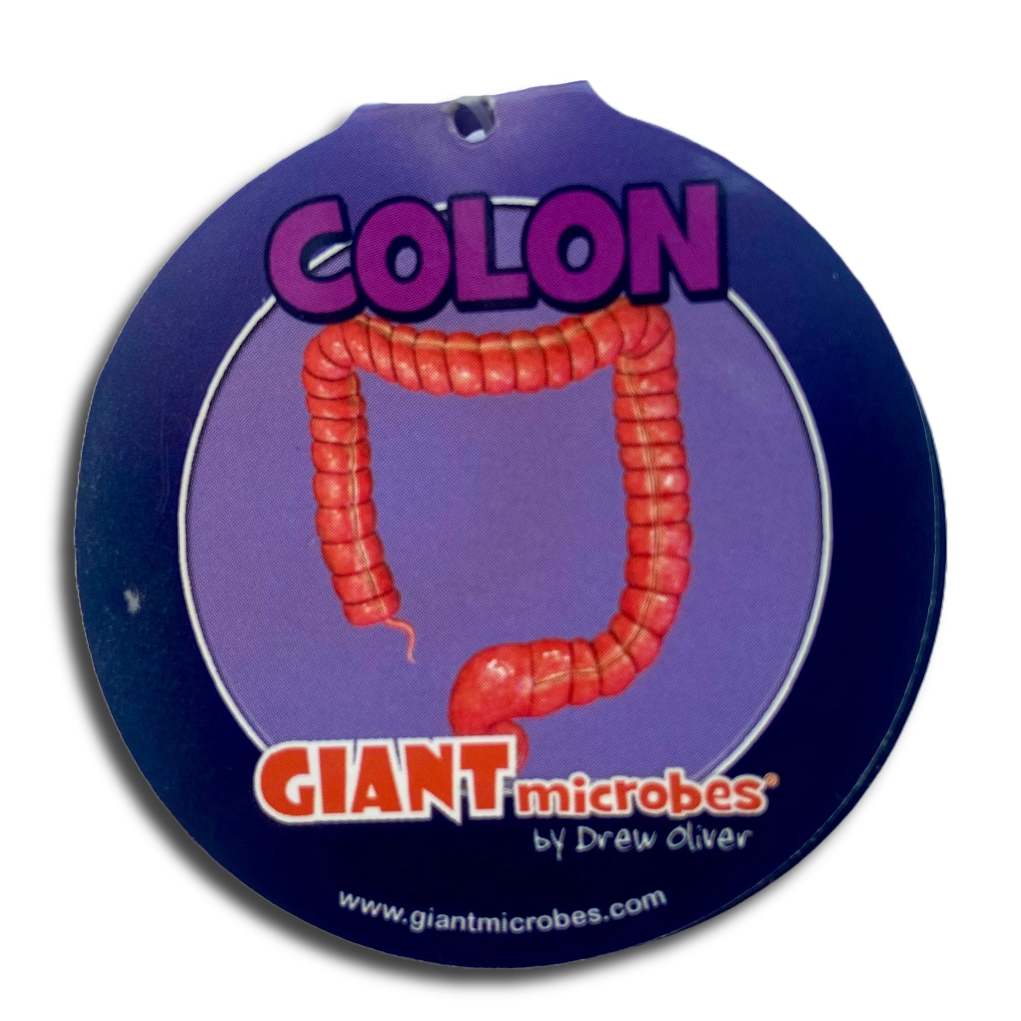 Colon Keychain