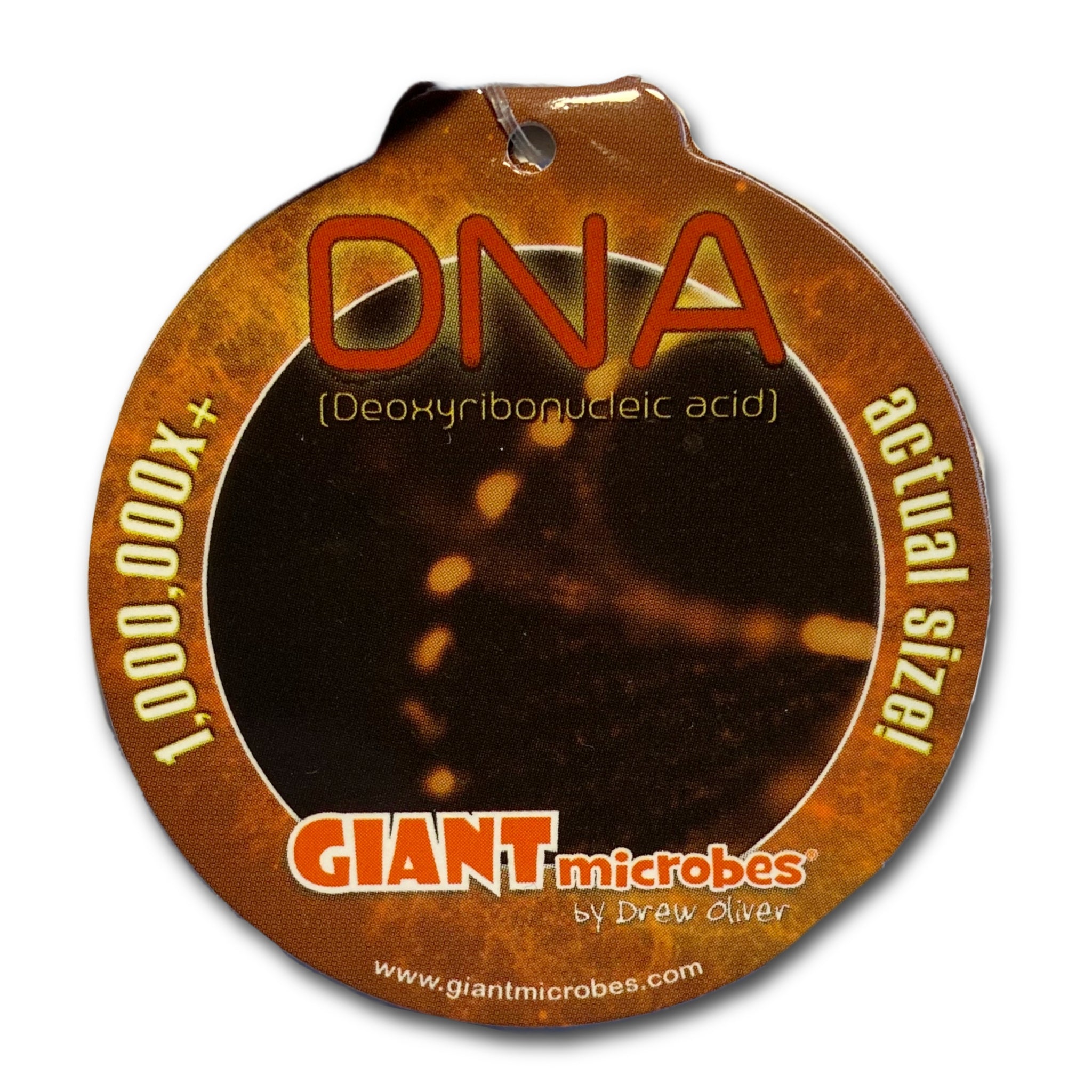 DNA Keychain