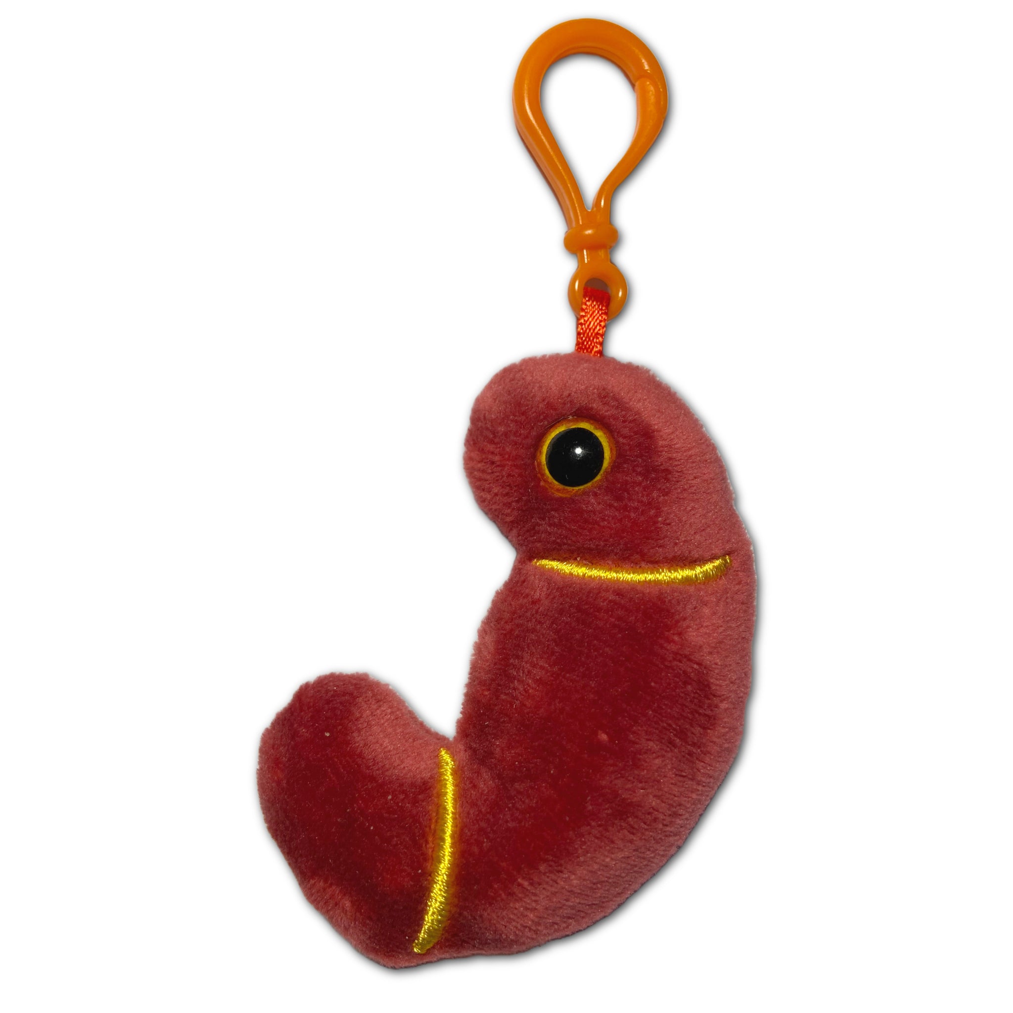 Kidney Keychain