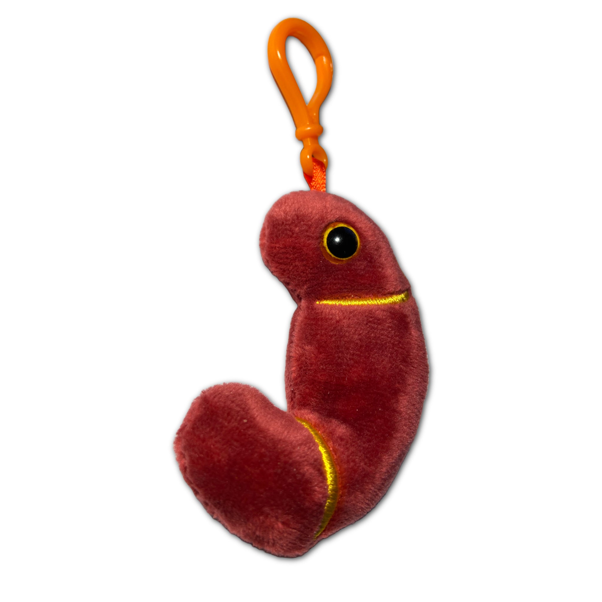 Kidney Keychain