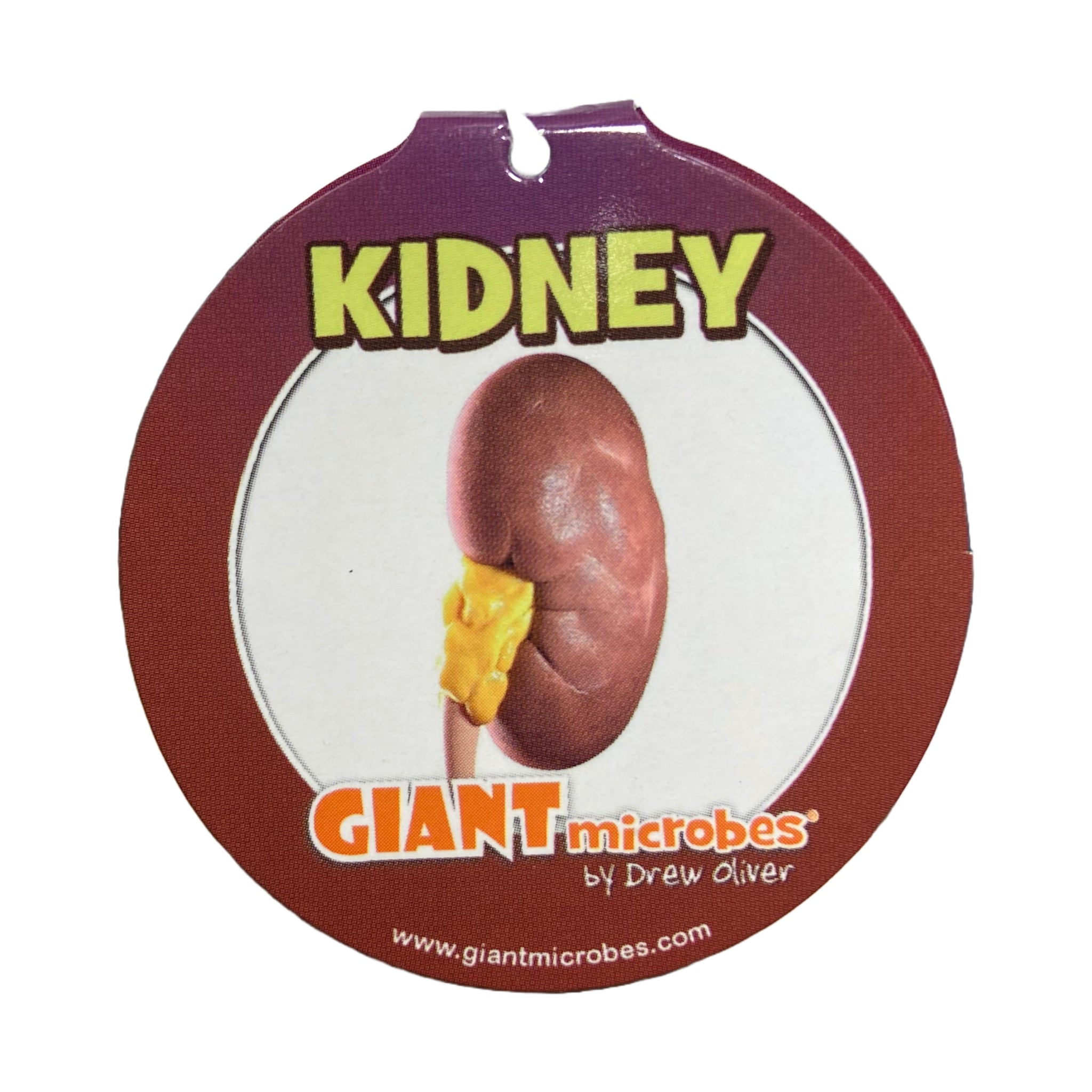 Kidney Keychain