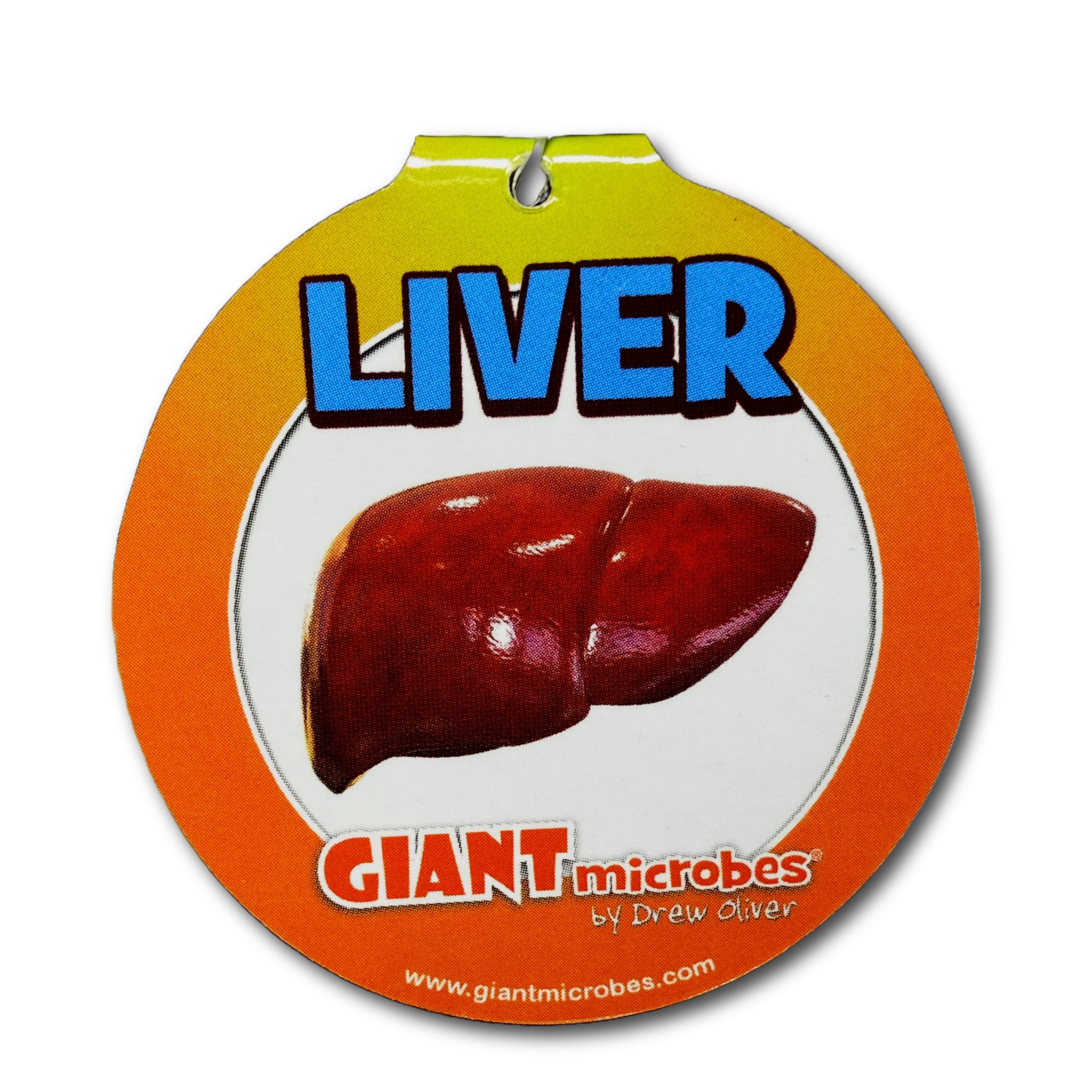 Liver Keychain