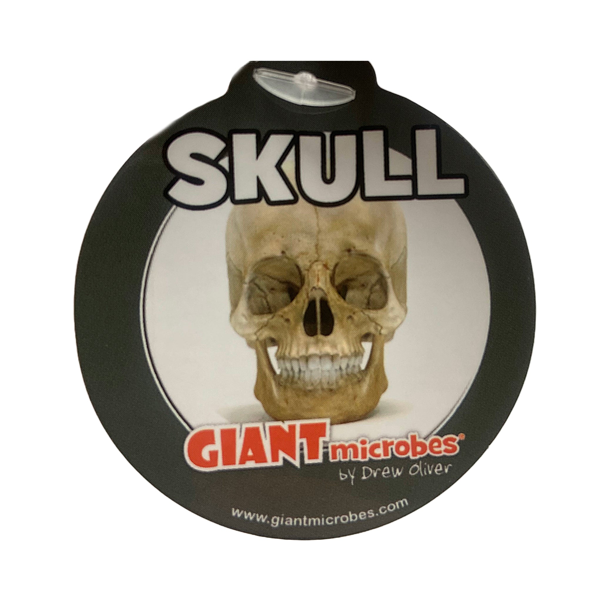 Skull Keychain