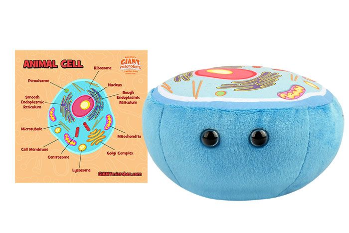 Animal Cell Giantmicrobes