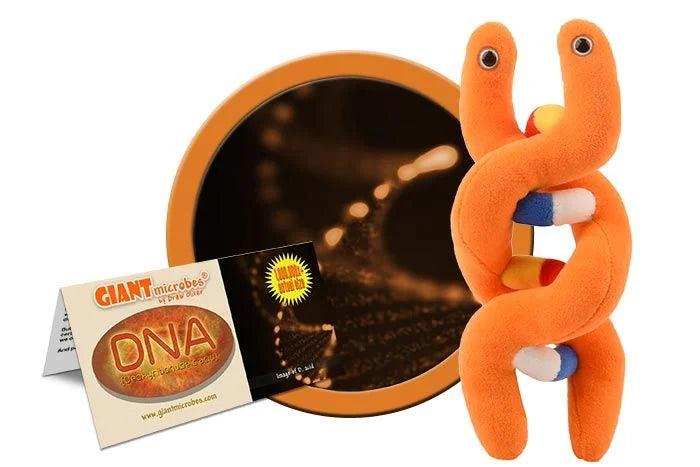 DNA Giantmicrobes