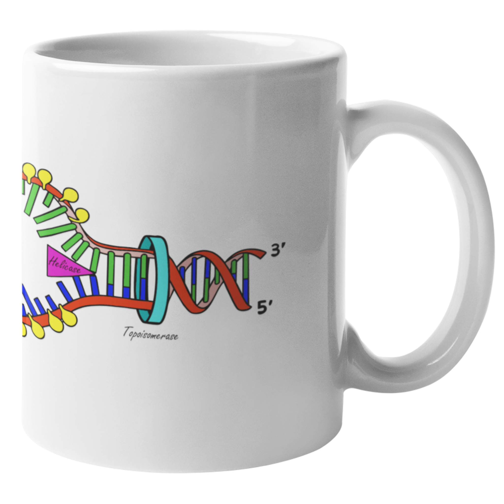 DNA Replication Mug