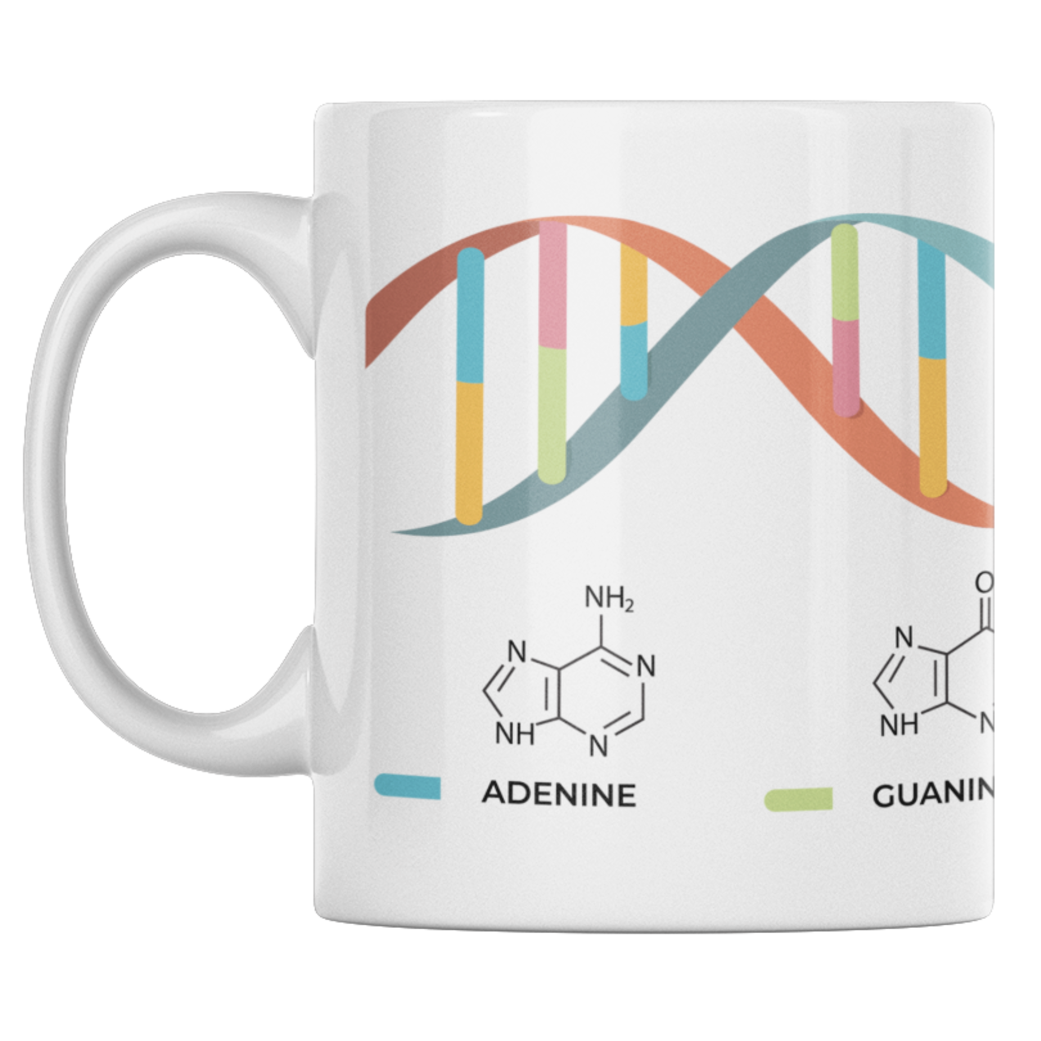 DNA Structure Mug