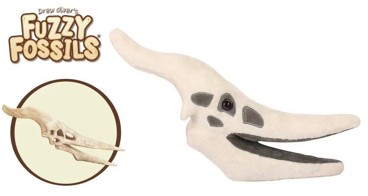 Pteranodon Skull Giantmicrobes