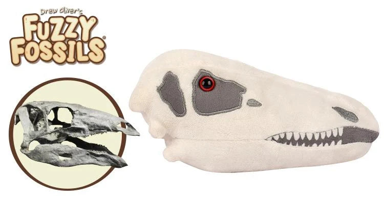 Stegosaurus Skull Giantmicrobes
