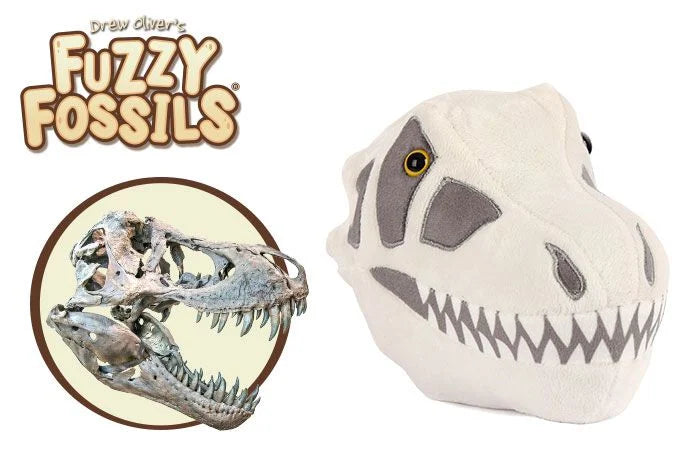 T-REX Skull Giantmicrobes