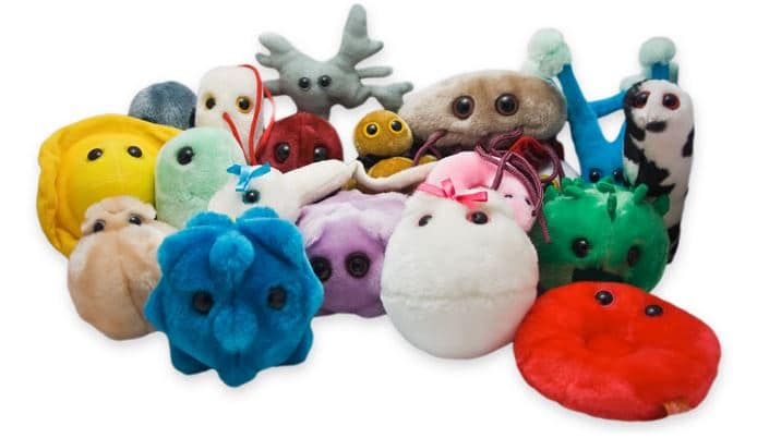 Giantmicrobes