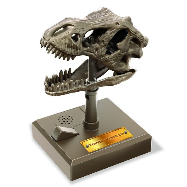 Roaring T-Rex Skull
