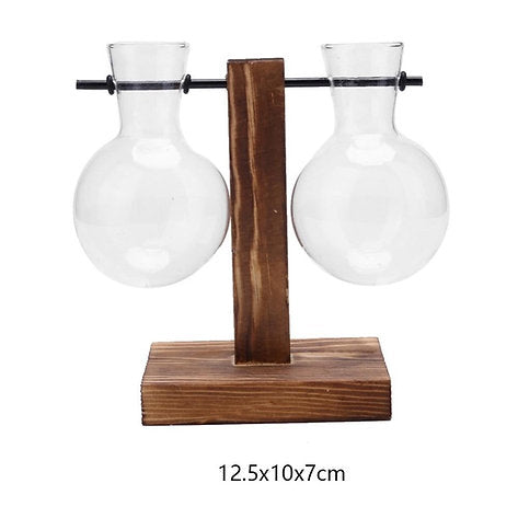Hydroponic Vase Globe