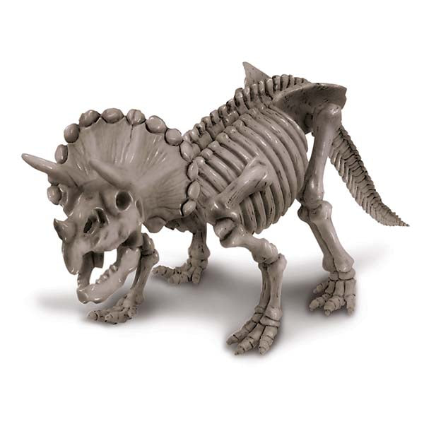 Triceratops Skeleton