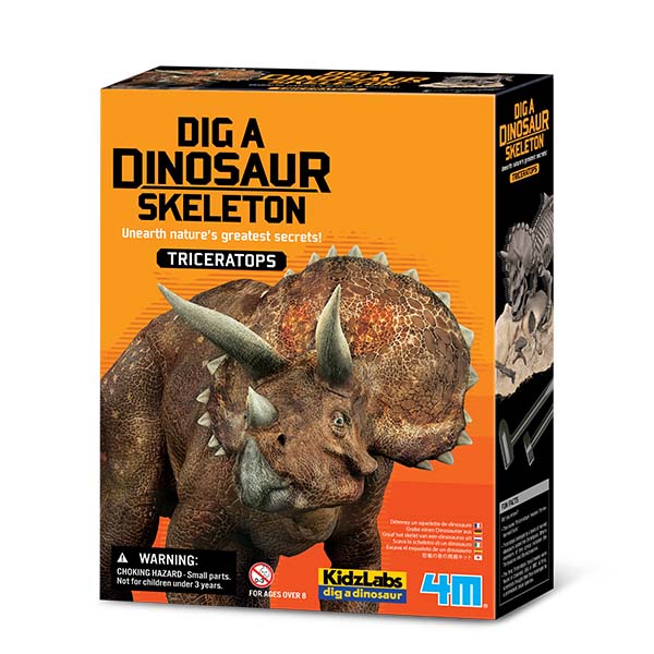 Triceratops Skeleton