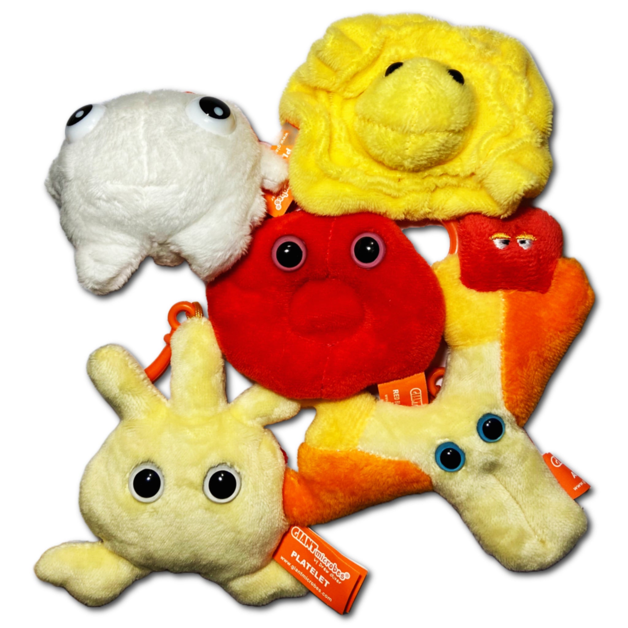 Blood Cells Box