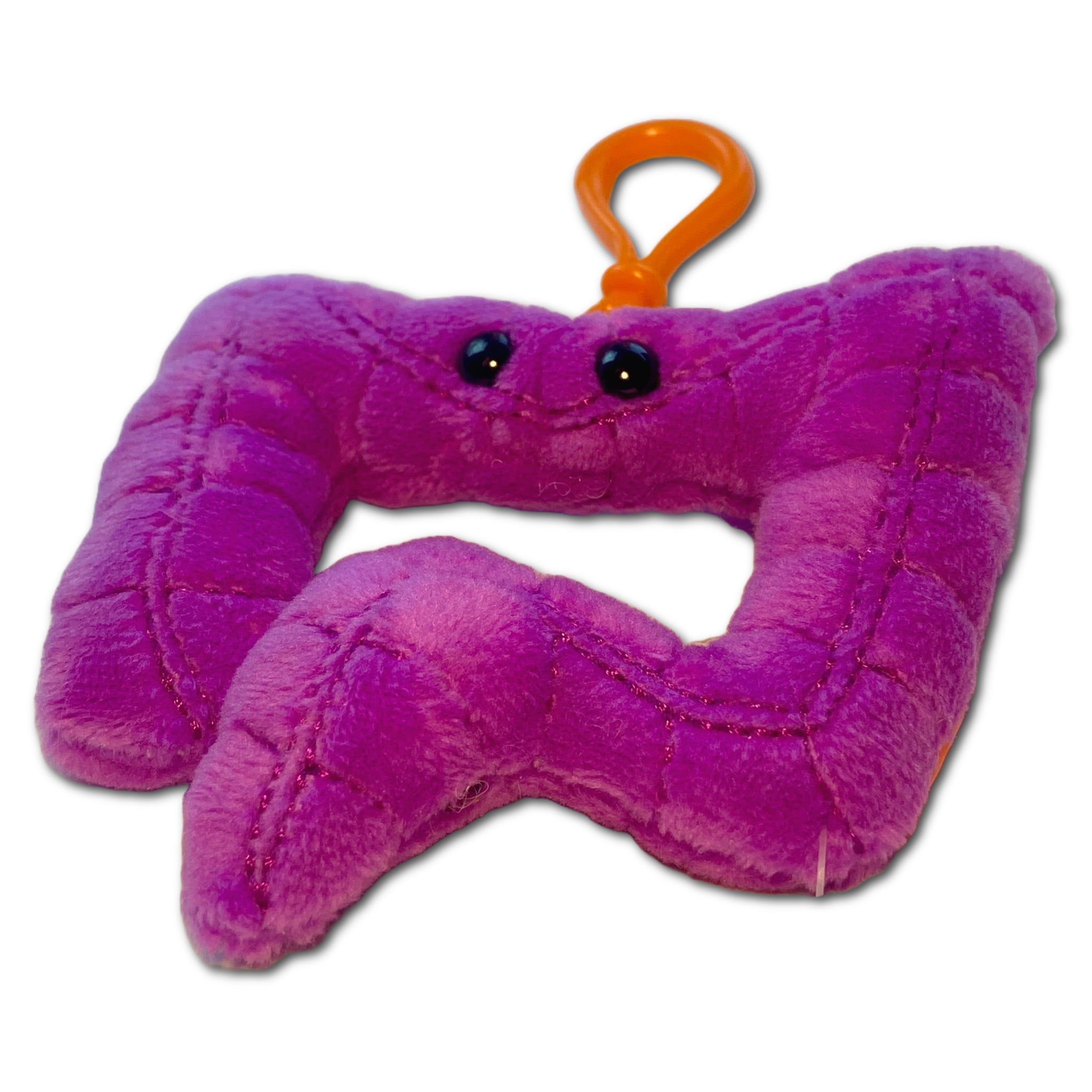 Colon Keychain
