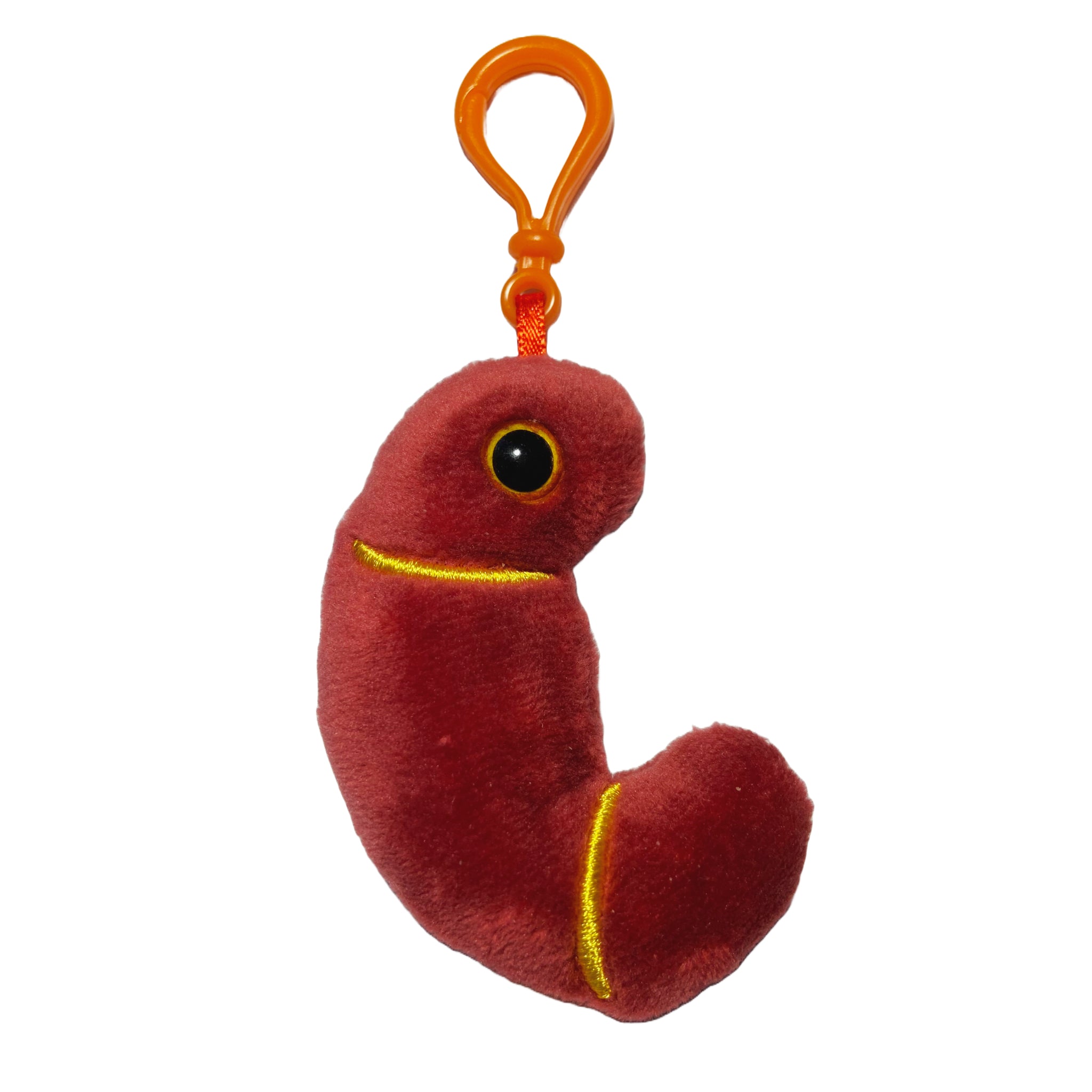 Kidney Keychain
