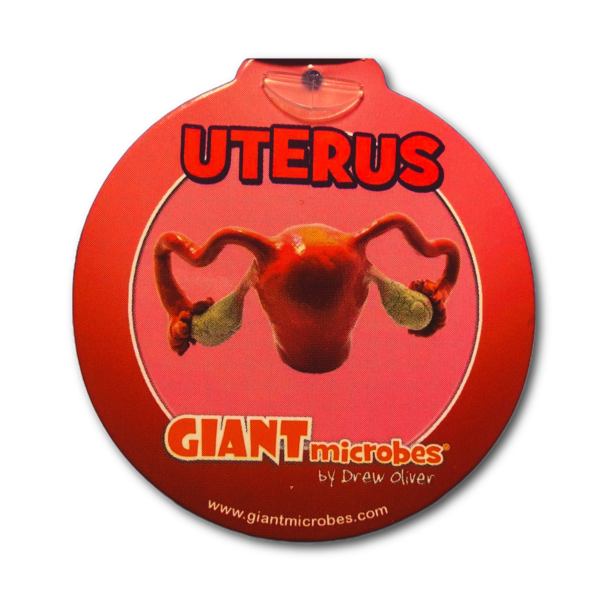 Uterus Keychain