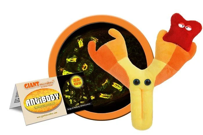 Antibody Giantmicrobes