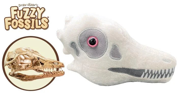 Archaeopteryx Skull Giantmicrobes