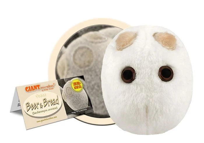 Beer & Bread Giantmicrobes