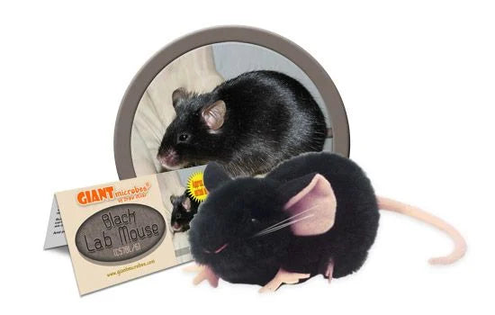 Black Lab Mouse Giantmicrobes