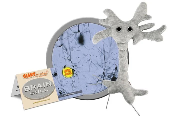 Brain Cell Giantmicrobes