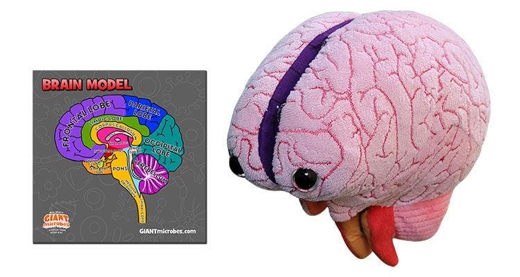 Brain Model Giantmicrobes