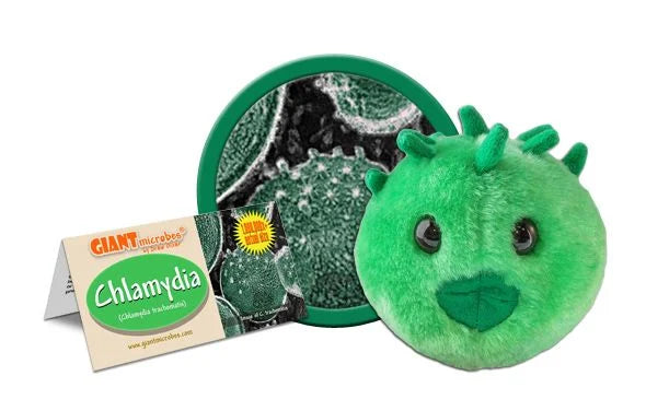 Chlamydia Giantmicrobes