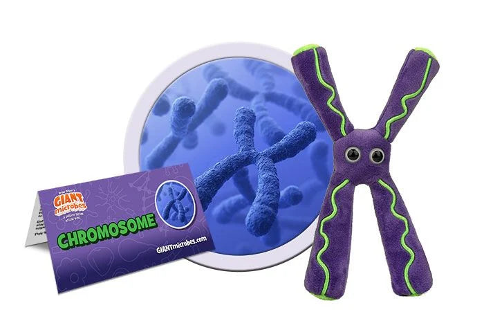 Chromosome Giantmicrobes