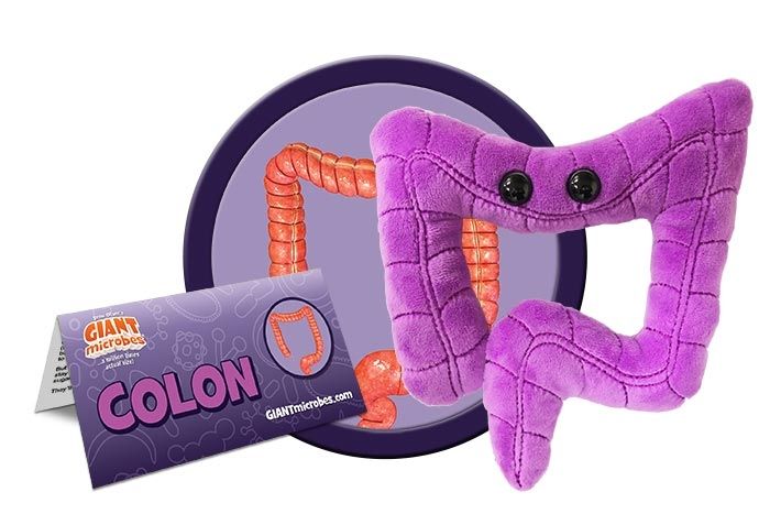 Colon Giantmicrobes