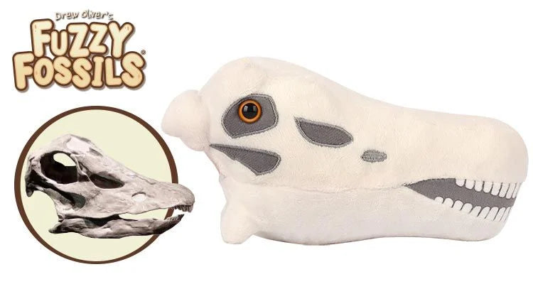 Diplodocus Skull Giantmocrobes
