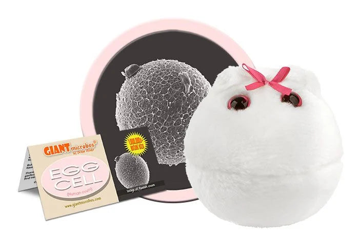 Egg Cell Giantmicrobes