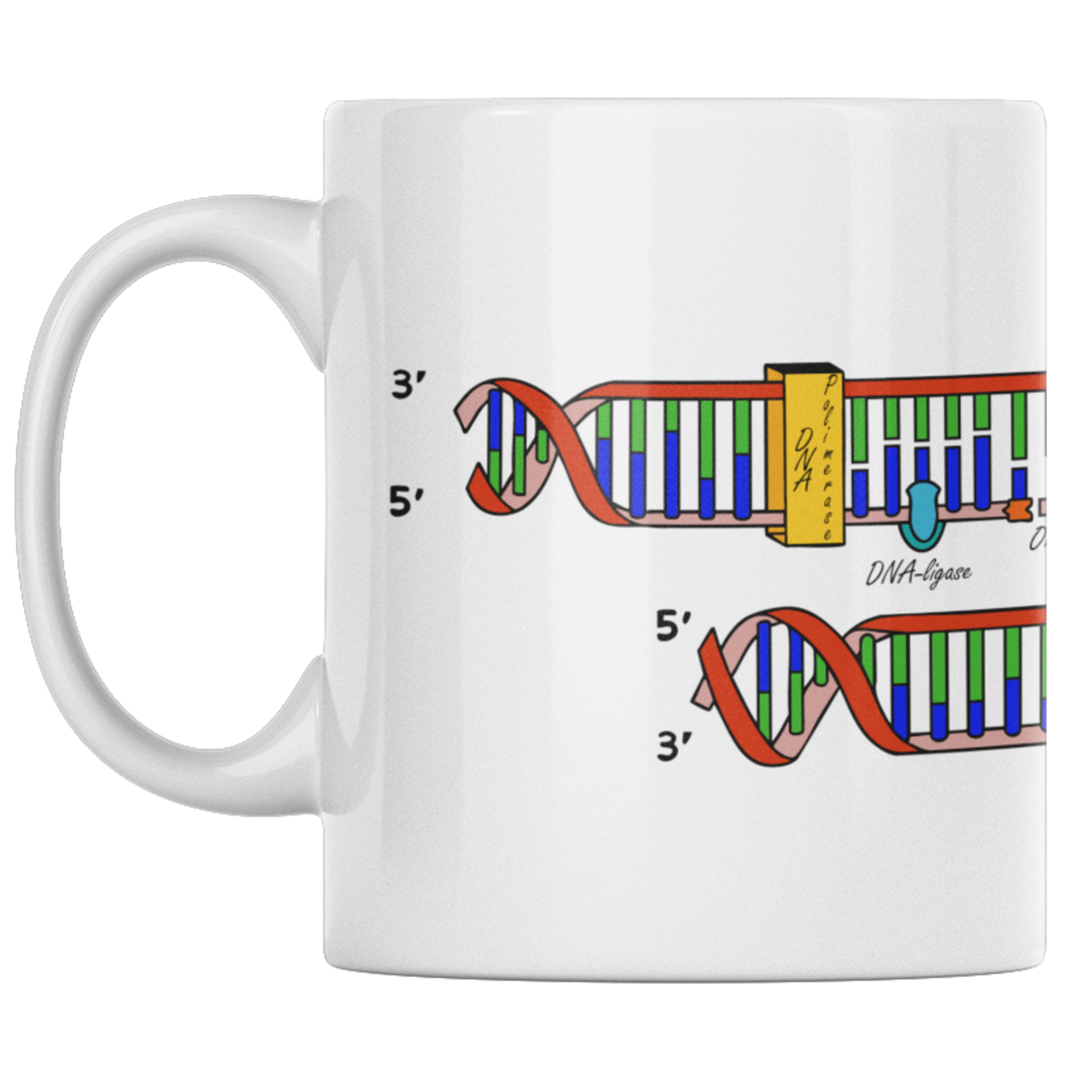 DNA Replication Mug