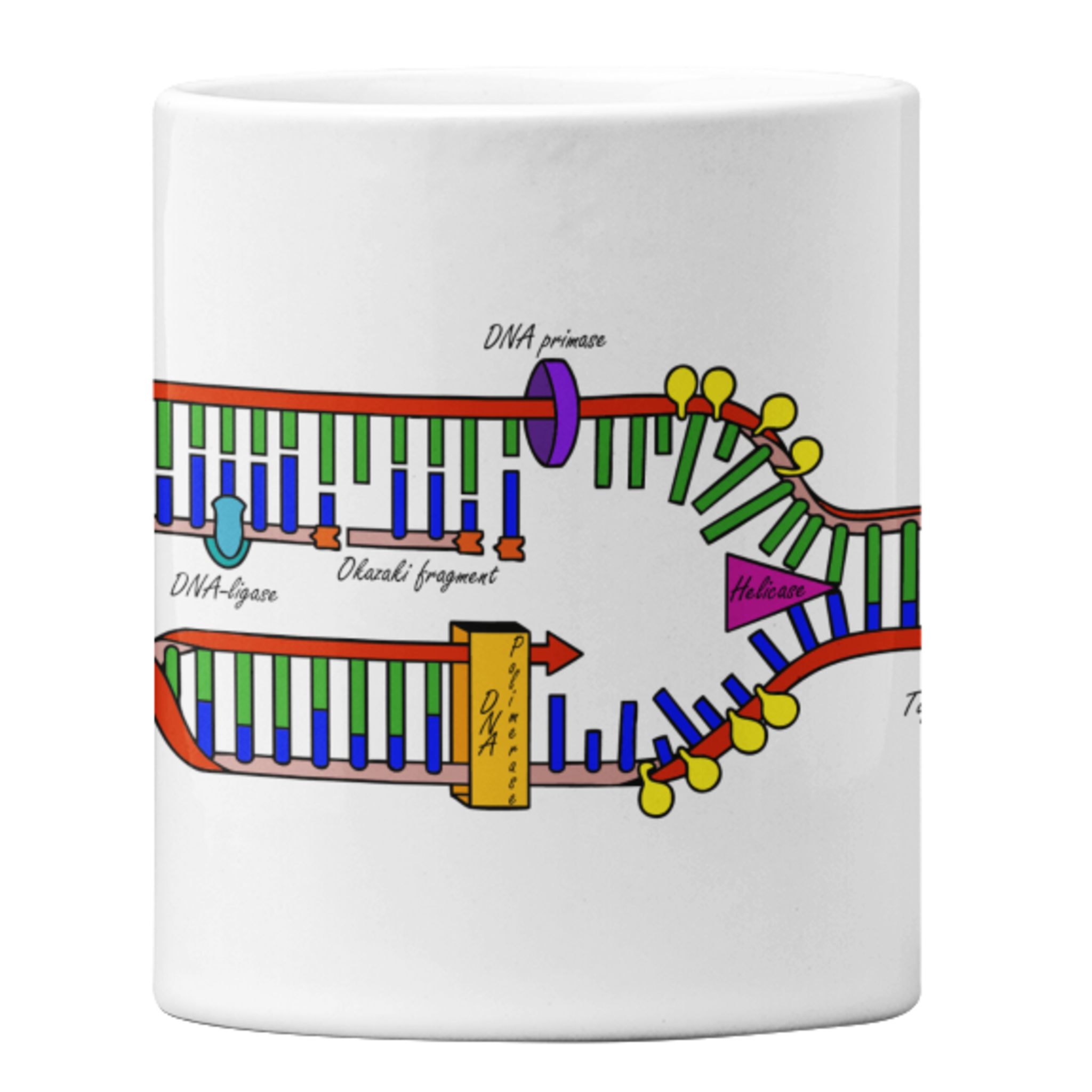 DNA Replication Mug