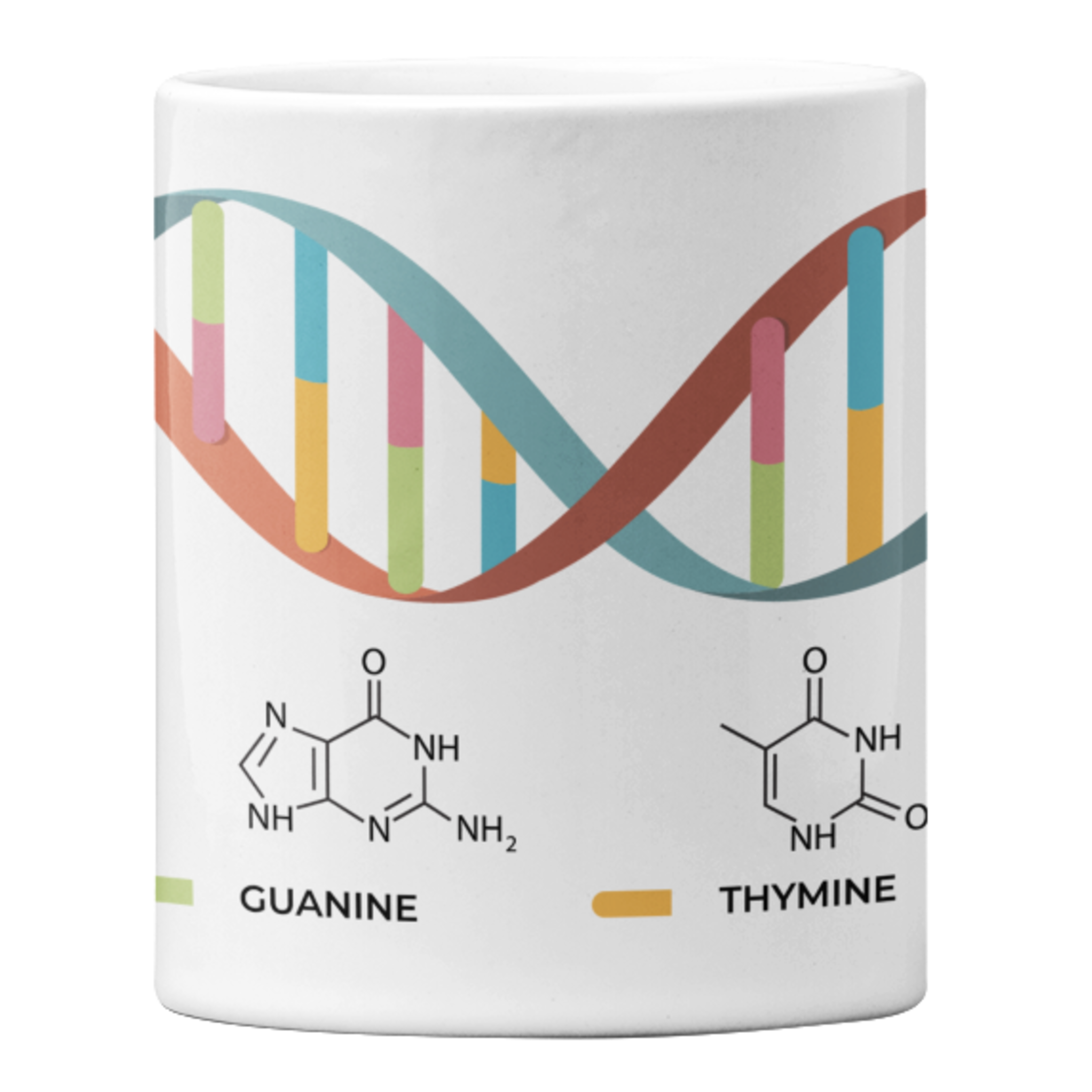 DNA Structure Mug