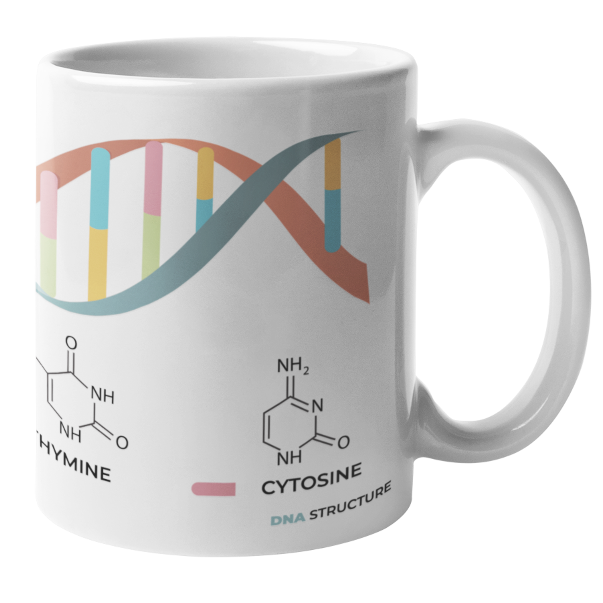 DNA Structure Mug