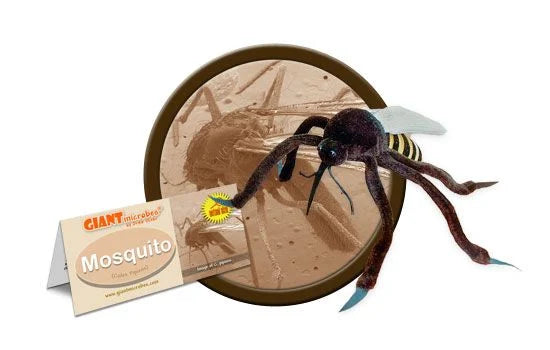 Mosquito Giantmicrobes