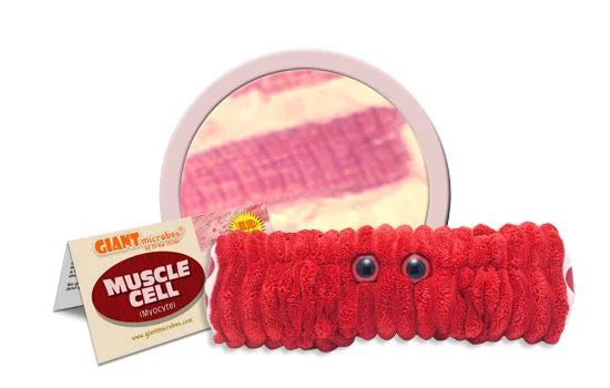 Muscle Cell Giantmicrobes