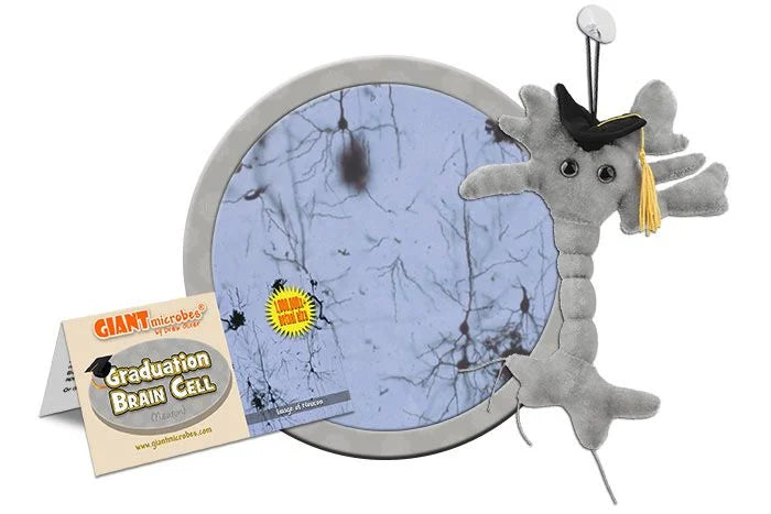 Brain Cell Graduation Giantmicrobes