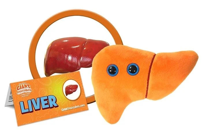 Liver Organ Giantmicrobes
