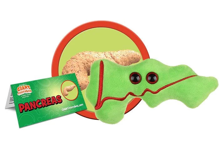 Pancreas Giantmicrobes