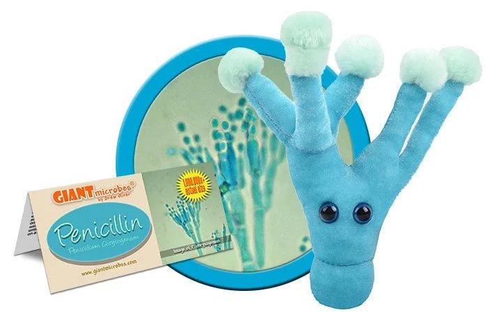 Penicillin Giantmicrobes